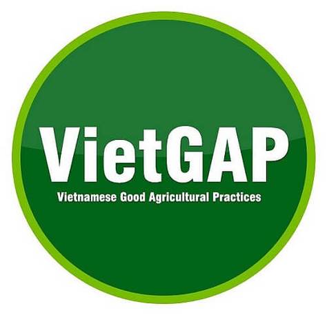 xe đạp tập sóc trăng